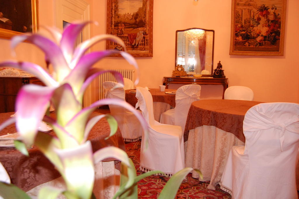B&B Casa Cavalli ลูเชรา ภายนอก รูปภาพ